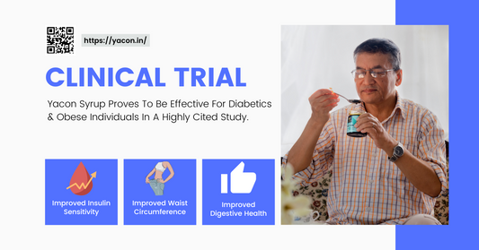 Yacon Syrup Proves To Be Effective For Diabetics & Obese Individuals In A Highly Cited Clinical Trial Study